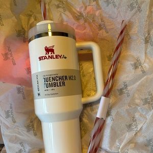 Brand new in box Stanley limited edition 40oz mistletoe tumbler